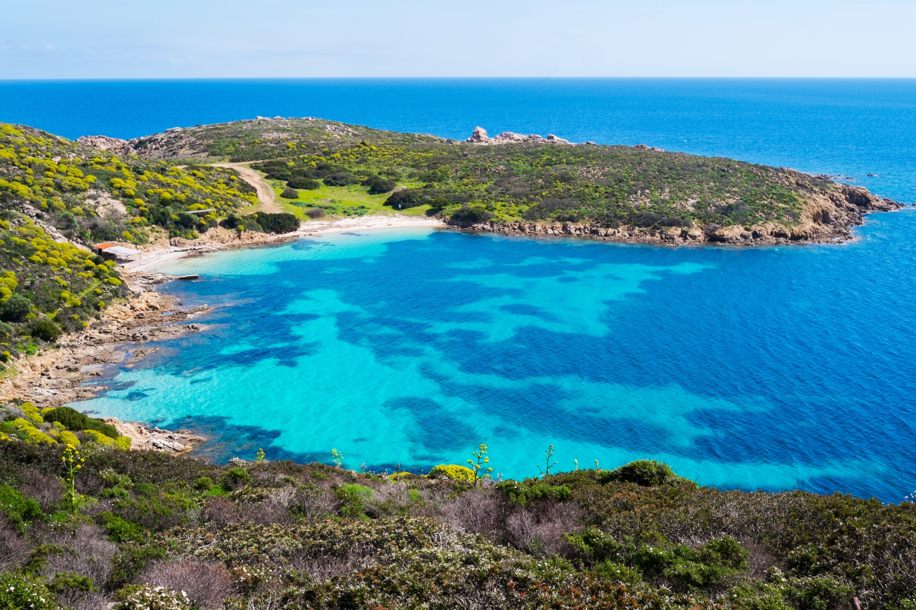 Asinara Island