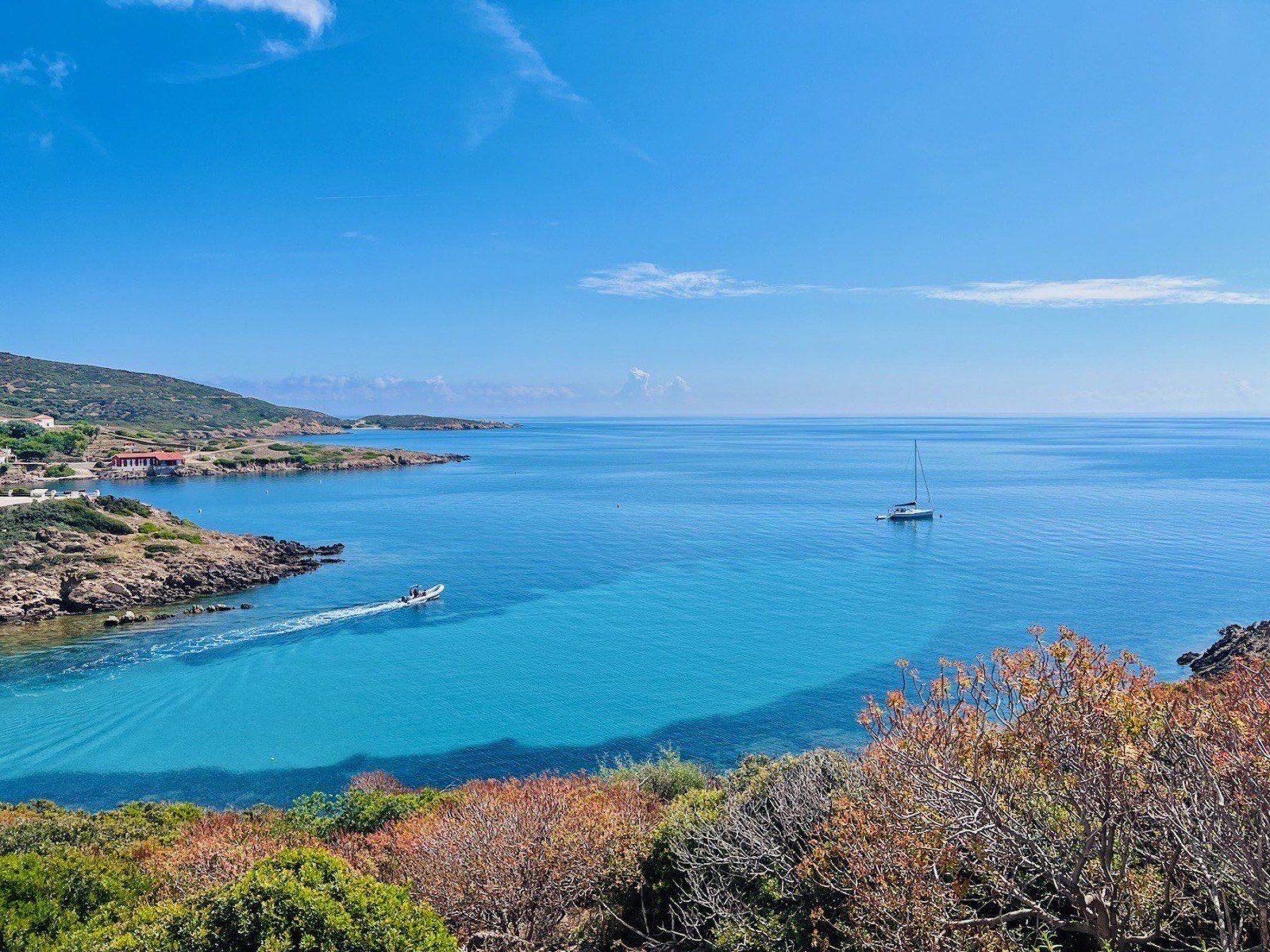 A small boat heading out from a quiet bay on Asinara